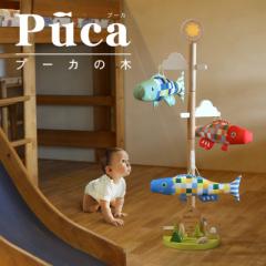  ̂ڂ ̂ڂ  v[J̖ Puca i