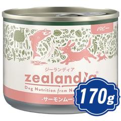 �W�[�����f�B�A �h�b�O �p�s�[ �T�[�������[�X 170g �h�b�O�t�[�h �ʋl �y���K�i�z