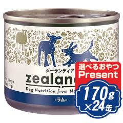 �W�[�����f�B�A �h�b�O �E�F�b�g ���� 170g�~24�� �h�b�O�t�[�h �ʋl �y���K�i�z