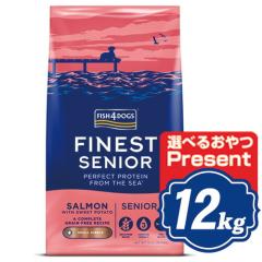 �t�B�b�V��4 �h�b�O �T�[���� �V�j�A ���� 12kg �h�b�O�t�[�h �y���K�i�z�y��������̃L�����Z���E�ԕi�E�����s�z�y��������s�E�R��