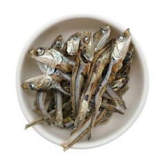 �h�b�O�c���[ �����肿��߂� �r12g�i���p����j