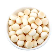 �h�b�O�c���[ �J���V�E���{�[�� �~�j ���_�� �r 30���i���p����j