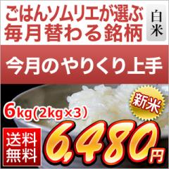 y11̂肭zV Y R̂  6kgi2kg~3܁jyzyoׁzyđ܂͒f[Uz ߘa7NY 