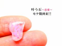 �����΁����e�����������[�Y�N�H�[�c�������������������΁��������p���[�X�g�[�����아(�아)