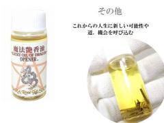 ��OPENER.�����ꂩ��̐l���ɐV�����\���⓹�A�@����Ăэ��ރT�|�[�g���p���[�X�g�[�������̑����X�s���`���A���I�C�������@�̃I�C��