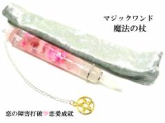 �������A�E���̏�Q�Ŕj�E�Ўv���E�~�����s���N�g���}�����E���[�Y�N�H�[�c�����@�E���p�����@�̏񁚃|�C���g���}�W�b�N�����h���q�[����