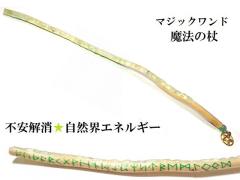 ���R�E�G�l���M�[�E�l�Ԋ֌W����E�����E���炬�E���_�o�����X�����[���������v���i�C�g�����@�E���p�����@�̏񁚖ؐ��E�E�b�h���ׁ��}�W