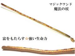 �x�������炷�E���������̓p���[�E���N�ƒ����E�I�[���}�C�e�B�^�E�Ɖu��UP�E��R��UP�E�򉻂������ւƂȂ��遚�A���o�[�E���߁����[��