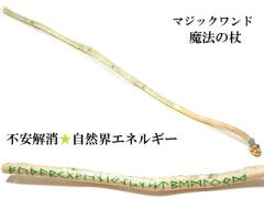 ���R�E�G�l���M�[�E�l�Ԋ֌W����E�����E���炬�E���_�o�����X�������O�����[���������v���i�C�g�����@�E���p�����@�̏񁚖ؐ��E�E�b�h��