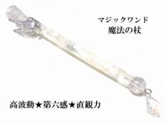 ���g���E�C���X�s���[�V�����\�́E��Z���E���ʑ́E���ϗ́E���f�́E���ݔ\�́E�����E�ǉ������[���X�g�[�������@�E���p�����@�̏񁚃f�U