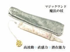 ���g���E�C���X�s���[�V�����\�́E��Z���E���ʑ́E���ϗ́E���f�́E���ݔ\�́E�����E�ǉ������[���X�g�[�������@�E���p�����@�̏񁚃|�C