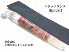 ����̈���E�O�����E�S�̉񕜁E�l�Ԋ֌W����E�������A�E����̃T�|�[�g���R�o���g�h���}�C�g�E�q�}�����Y���������@�E���p�����@�̏�