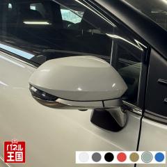 hA~[Jo[E g^ VG^ 170n E(^]ȑ)J[Iт EE͂DIYŌɃ`W TSR170