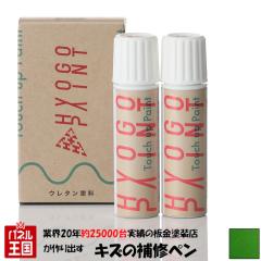 �o�C�N�p�^�b�`�A�b�v�y�C���g �^�b�`�y�� �J���T�L Z1000 �L�����f�B���C���O���[�� �J���[�ԍ� 8N 20ml ��h�艺�h��Z�b�g