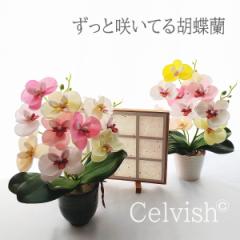 CelvishIWi ̓ ƍ炢Ă ӒyP[Xt[ Mtgzꂢ炸 \[vt[̂傤 jv