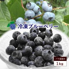 冷凍ブルーベリー 約1kg サイズ混合 ブルーベリー 山形県産 ベリー 冷凍果実 フルーツ 果物 くだもの ダンボール箱でお届け