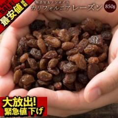 [Y mIC JtHjA[Y 850g 󂠂 I s hCt[c Y sgp [ ʕ قԂǂ Ԃ