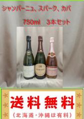 ジョリ クール 2022 750mlの通販はau PAY マーケット - 山本商店