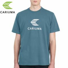 CARIUMA JE} XP[g{[h TVc TEAM T-SHIRTS ~[W u[ NO3