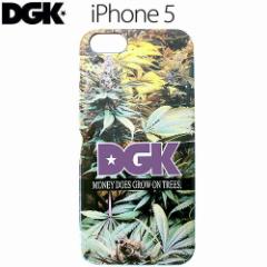 fB[W[P[ DGK X}z P[X MONEY TREE IPHONE 5E5S CASE NO4