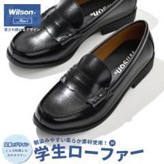 ���[�t�@�[ �����Y �w���C �r�W�l�X�V���[�Y �V���[�Y �ʊw ���w�� ���Z�� �C wilson