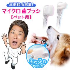 ���u���V �y�b�g�p �y�b�g ���p �L�p �� �L ���u���V �����^�� ���^�� ���ɍ� ���� �B�l MANMOU TATUZIN ���{�� ���[���� �\�t�g�u���V 