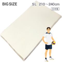 �����O�T�C�Y �~�z�c �V���O�� �����O ���{�� �~���z�c 210 220 230 240cm �傫�ȃT�C�Y �G�A�[�v���X �Ŕ��� �O�܂� ���[ �I�[�o�[��