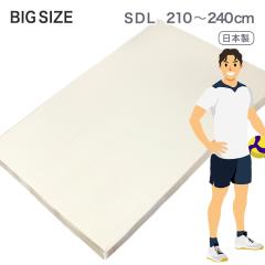 �����O�T�C�Y �~�z�c �Z�~�_�u�� �����O ���{�� �~���z�c 210 220 230 240cm �傫�ȃT�C�Y �G�A�[�v���X �Ŕ��� �O�܂� ���[ �I�[�o�[