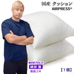 ���{�� �N�b�V���� 45�~45cm �k�[�h�N�b�V���� ����� �V���R���� �􂦂� ������ ���� �R�� �h�L �h�J�r �􂦂� �h�_�j ���� �ې�OK 