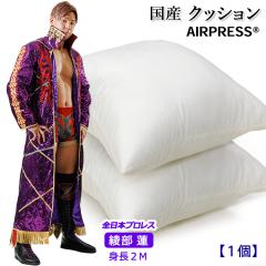 ���{�� �N�b�V���� 45�~45cm �k�[�h�N�b�V���� ����� �V���R���� �􂦂� ������ ���� �R�� �h�L �h�J�r �􂦂� �h�_�j ���� �ې�OK 