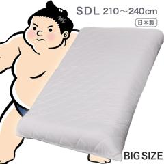 �}�b�g���X �Z�~�_�u�� �����O ���{�� �傫�ȃT�C�Y �T�w�\�� 120cm �~ 210 220 230 240cm �����O�T�C�Y �}�b�g �V���O�������O ������ 
