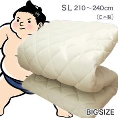 �~�z�c �V���O�� �����O ���{�� �傫�ȃT�C�Y �T�w�\�� 100cm �~ 210 220 230 240cm �����O�T�C�Y �~���z�c �Ŗȓ��� �R�� �h�L �h�J�r 