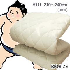 �~�z�c �Z�~�_�u�� �����O ���{�� �傫�ȃT�C�Y �T�w�\�� 120cm �~ 210 220 230 240cm �����O�T�C�Y �~���z�c �Ŗȓ��� �R�� �h�L �h�J�r