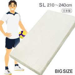 �}�b�g���X �V���O�� �����O ���{�� 100cm �~ 210 220 230 240cm �����O�T�C�Y �傫�ȃT�C�Y ������ �G�A�[�v���X �t�B�b�g �}�b�g ����