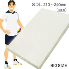 �}�b�g���X �Z�~�_�u�� �����O ���{�� 120cm �~ 210 220 230 240cm �����O�T�C�Y �}�b�g  �傫�ȃT�C�Y ������ �G�A�[�v���X �t�B�b�g �}
