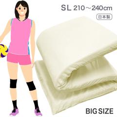 �����O�T�C�Y �~�z�c �V���O�� �����O ���{�� �~���z�c 100cm �~ 210 220 230 240cm �傫�ȃT�C�Y �G�A�[�v���X �t�B�b�g �Ŕ��� �O��