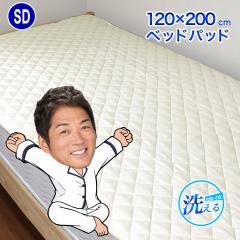 �x�b�h�p�b�h �Z�~�_�u�� �N���g����@���ʁy�Q�X�W�O�~�z120�~200cm�@S�c�E�H�b�V���u�� �ې�OK �~�p�b�h���p�@