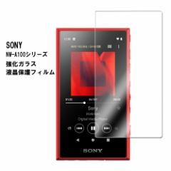 Sony NW-A100 V[Y EH[N}p KX tیtB KXtB ώw  \ʍdx 9H 2.5DEhGbWH
