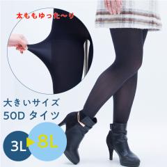 fB[X ^Cc 3L`8L [2܂  FreeFit t[tBbg  ^Cc 50fj[ { 傫TCY LegStyle