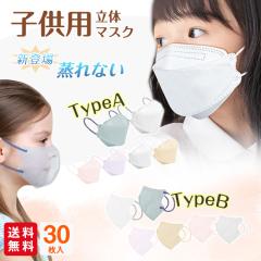 }XN q 30 ̃}XN ₷ sDz}XN oCJ[ LbY qǂ ݃J[ 3D pXeJ[ H~ 3w 