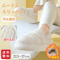 HV [g Xb| Xbp fB[X Y N C tbgu[c [Jbg g h  ۉ jp