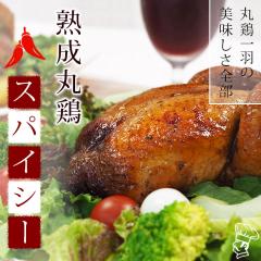 ���[�X�g�`�L�� �ی{ �X�p�C�V�[ 1�H 1.2kg �{�����[�� �y�� �� �� �`���h �M�t�g �p�[�e�B�[