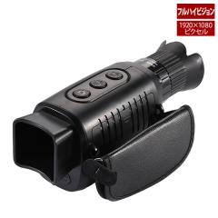 Victor ビクター JVC GR-DV2000 デジタルビデオカメラ ミニDV方式(中古