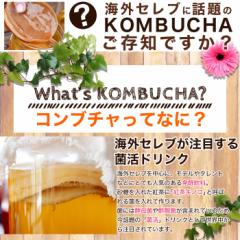 �������� 100�� �l�C�̃R���u�`�� ����Ԓ� �R���u�`�� �h�����N �R���u�`���_�C�G�b�g Kombucha �����p ��e�� �������� �M�t�g �v���[