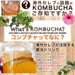  100 lC̃Ru` Ԓ Ru` hN Ru`_CGbg Kombucha p e  Mtg v[