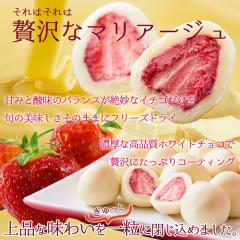 �������� �t���[�Y�h���C�C�`�S�`���R���[�g 䕃`���R �M�t�g �X�C�[�c ������ �z���C�g�`���R 250g �Ⓚ �o�����^�C�� ���j �a���� �v��