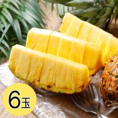 �y�t�B���s���Y�z�p�C�� �����x�p�C�i�b�v�� �Ïn���S�[���h�v���~�A���p�C�� �p�C���W���[�X �p�C���P�[�L �p�C���J�b�^�[ 6�@��9�L��