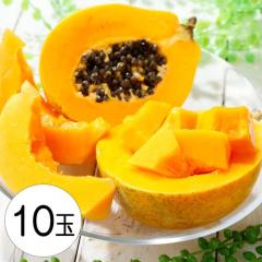 �p�p�C�� �t���[�c �C�G���[�p�p�C�� 10�� 1�ʖ�500g �t�B���s���Y �������� �썑 �ʕ� ���Y �M�t�g �ʕ�