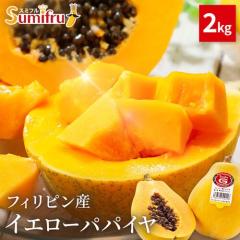 �p�p�C�� �t���[�c �C�G���[�p�p�C�� 4�� 1�ʖ�500g �t�B���s���Y �������� �썑 �ʕ� ���Y �M�t�g �ʕ�