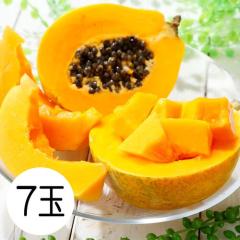 �p�p�C�� �t���[�c �C�G���[�p�p�C�� 7�� 1�ʖ�500g �t�B���s���Y �������� �썑 �ʕ� ���Y �M�t�g �ʕ�